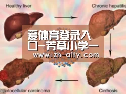 爱体育登录入口-芳草小学一年级四班开展图书捐赠活动(图3) 爱体育登录入口