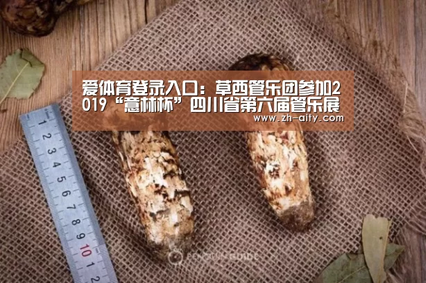 爱体育登录入口:草西管乐团参加2019“意林杯”四川省第六届管乐展示活动(图2) 爱体育登录入口